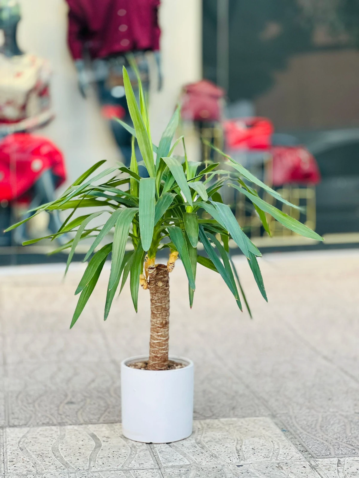 گل فروشی بهاران سنندج
